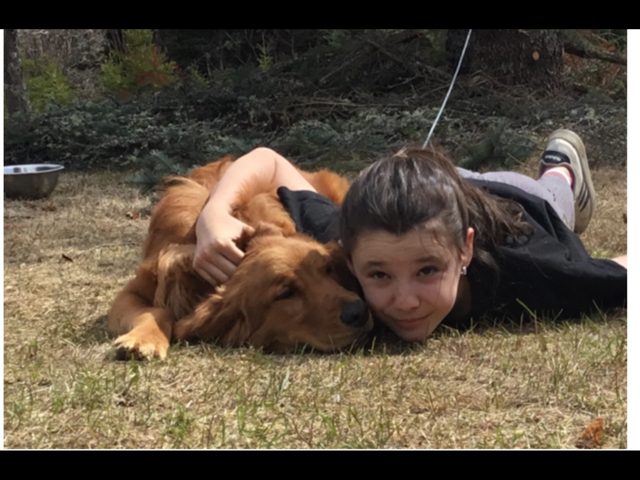 LILLI image 2