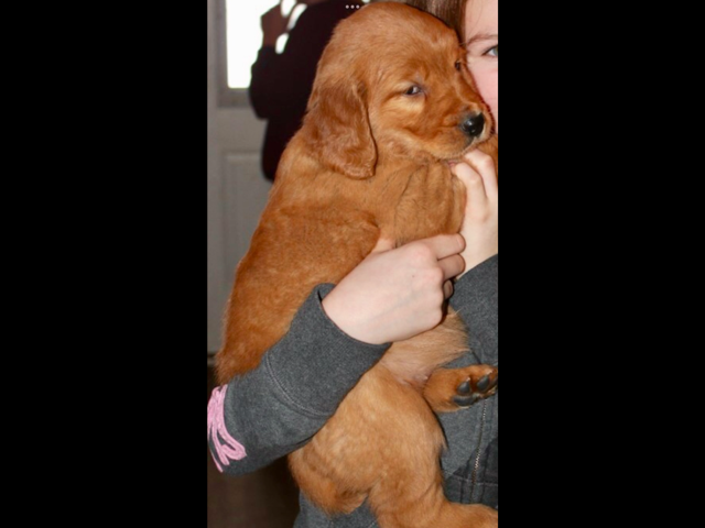 LILLI image 1